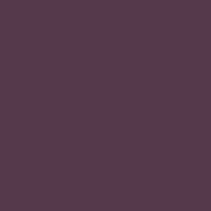 Liquitex - Basics - Deep Violet