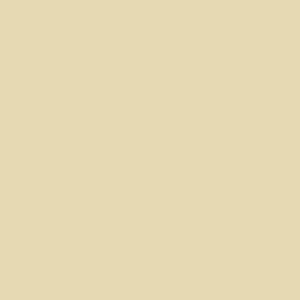 Liquitex - Basics - Unbleached Titanium (4oz)