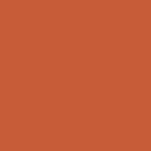 Liquitex - Basics - Cadmium Red Light Hue (4oz)