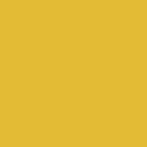 Liquitex - Basics - Cadmium Yellow Deep Hue (250ml)