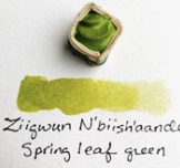 Beam Paintstone: Spring Green, PY74, PB15.1, Ziigwun Niibiishan-