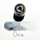 Beam Paintstone: Orca